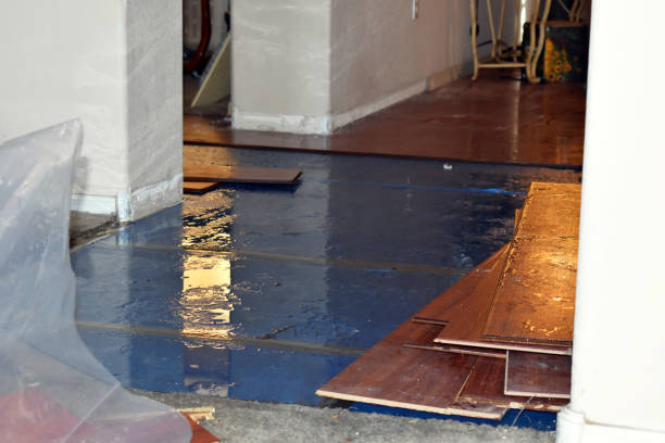 Professional Basement Water Removal technician working in Springville, UT
