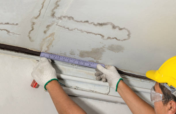 Reliable Basement Water Removal contractor in Springville, UT by Water Damage Irwin